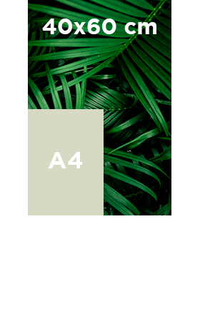 Akilux-40x60