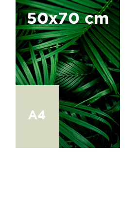 Akilux-50x70