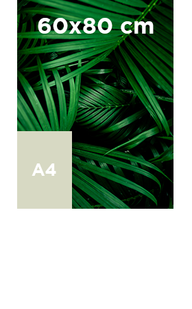 Akilux-60x80