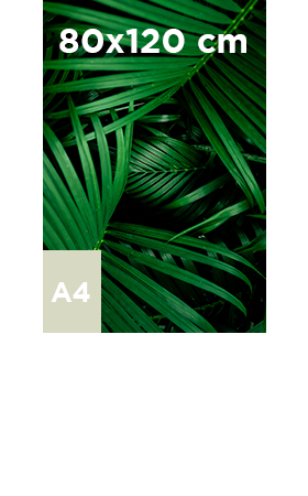 Akilux-80x120